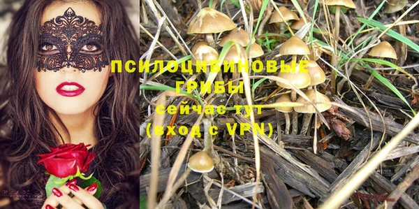 первитин Белокуриха