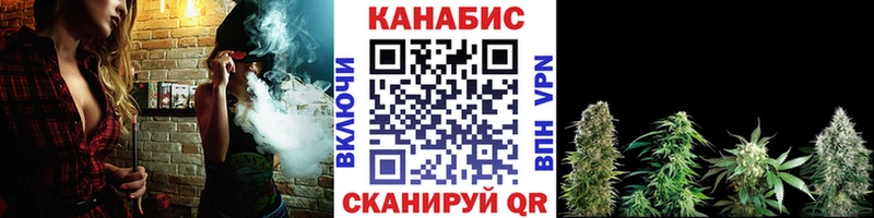 Марихуана сатива  как найти закладки  Котельники 